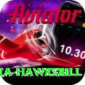 antigua hawksbill Premium Edition v4.9.8