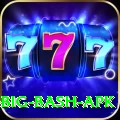bbl big bash apk Apps (Tools & Injectors) Turbo v1.3.1
