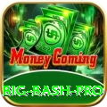 big bash - Legend Earning App