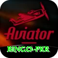 Bingo PKR Apps (Tools & Injectors) Pro v3.5.4