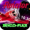bingo Ultimate Pro v5.2.8