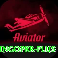 bingopkr Turbo Pro v1.8.4