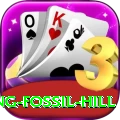 chhusang fossil hill Apps (Tools & Injectors) Plus v5.2.4