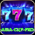 cricket asia cup Slots Turbo v1.2.7