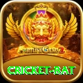 cricket bat Gold Edition v4.5.8