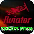 cricket pitch Plus Edition v3.8.6