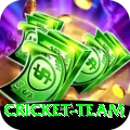 cricket team Turbo Pro v4.3.5