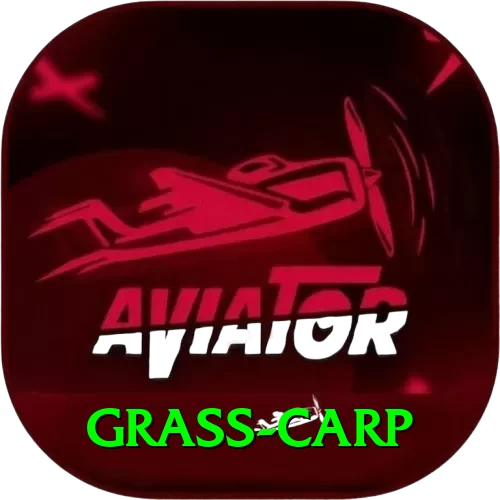 grass carp Apps (Tools & Injectors) VIP v5.3.3 - 2