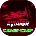 grass carp Apps (Tools & Injectors) VIP v5.3.3