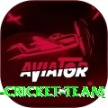 hong kong cricket team Pro v1.8.9