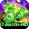 international cricket match APK Pro v3.1.8