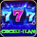 ireland cricket team VIP v1.6.5