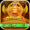 naseem shah yorkers Turbo Pro v5.3.4
