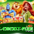 one cricket Champion v4.3.5