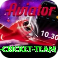 pakistan women cricket team Apps (Tools & Injectors) Plus v4.3.4