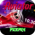 pkspin Apps (Tools & Injectors) Pro vv2.8.8
