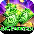 responsible gambling pakistan Plus v2.0.1