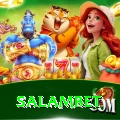 salambet Pro Edition v4.2.1