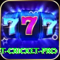 test cricket Mega 2024