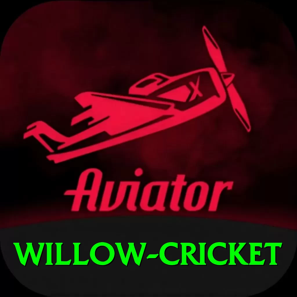 willow cricket Pro1 v5.8.0 - 2