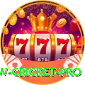 willow cricket Earn Champion v3.0.8