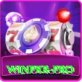 winpkr Plus Pro v4.9.6
