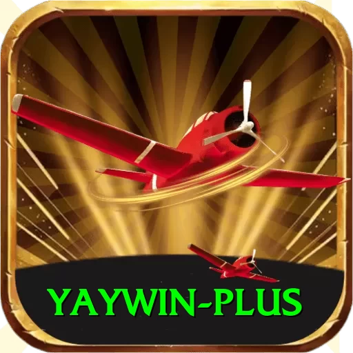 yaywin Deluxe Pro v3.1.7 - 2